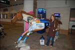 Mimi's horse